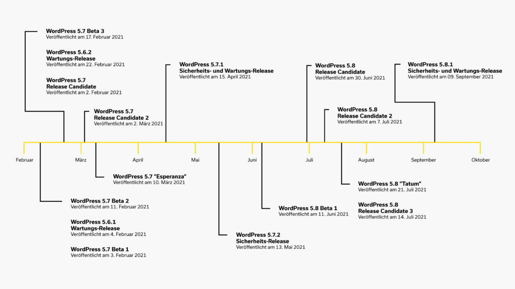 Valpix Uebersicht WordPress Updates 2021